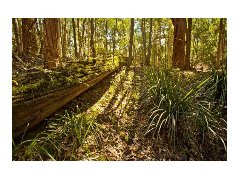 Twelve Mile Creek NSW 2324