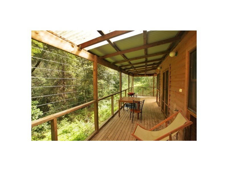 Dungog NSW 2420
