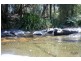 Wingham NSW 2429