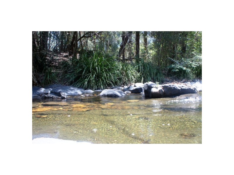 Wingham NSW 2429