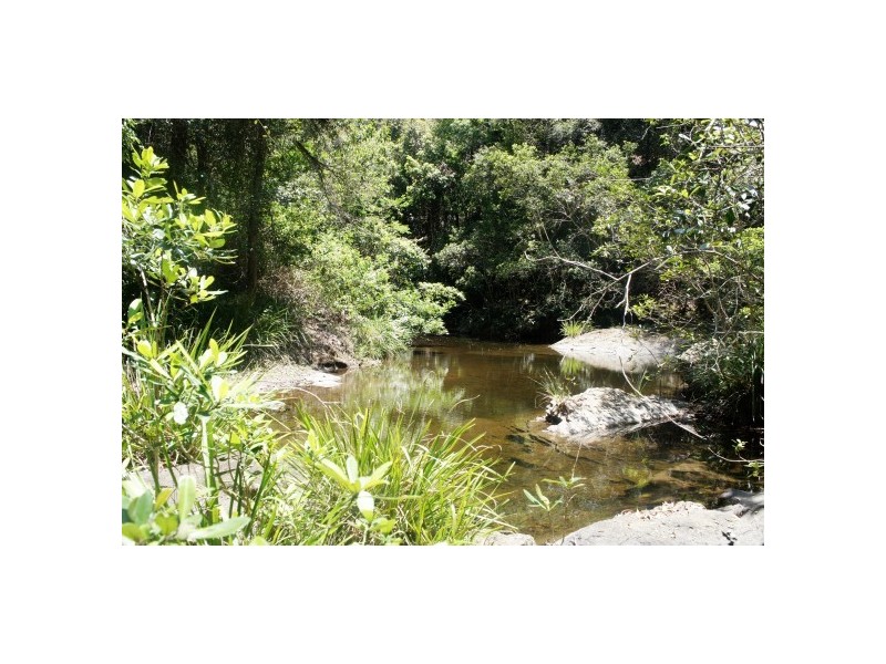 Wingham NSW 2429