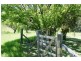 Wingham NSW 2429