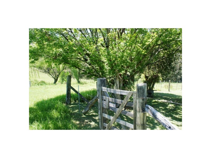 Wingham NSW 2429