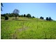 Wingham NSW 2429