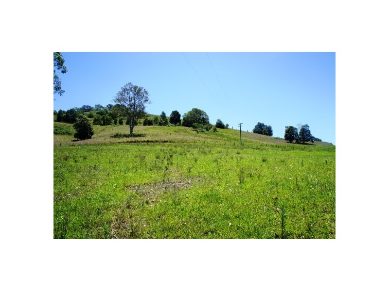 Wingham NSW 2429