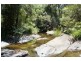Wingham NSW 2429
