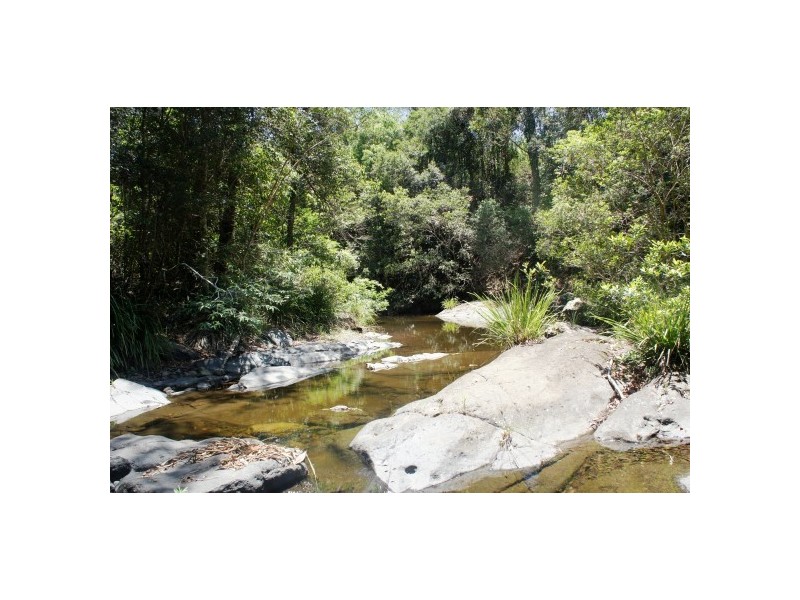 Wingham NSW 2429
