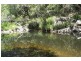 Wingham NSW 2429