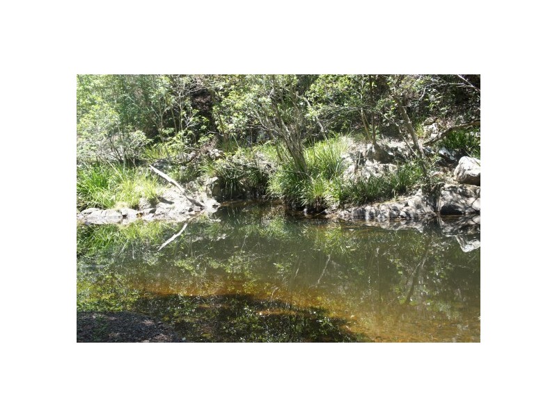 Wingham NSW 2429