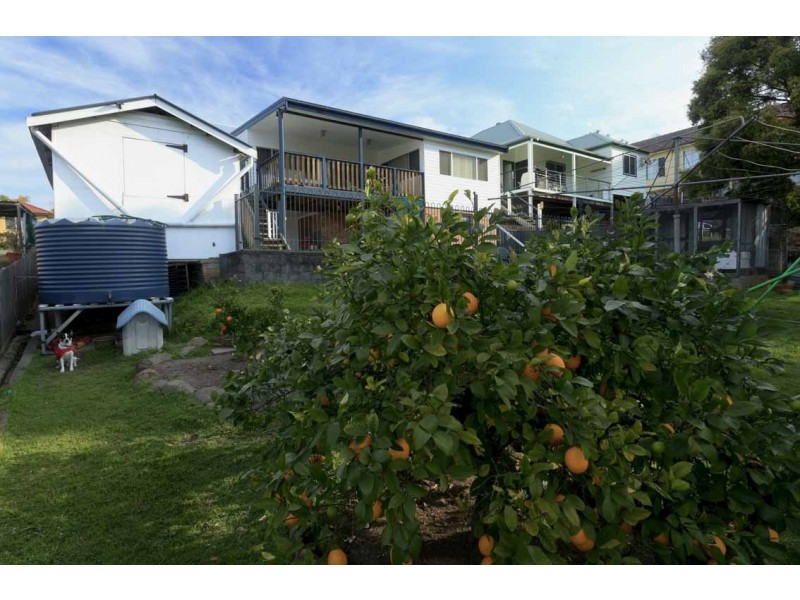 Dungog NSW 2420