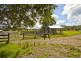 Girvan NSW 2425