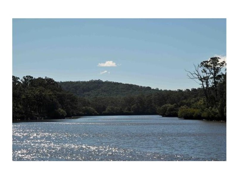 The Branch NSW 2425