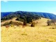 Monkerai NSW 2415
