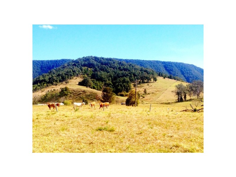 Monkerai NSW 2415