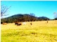 Monkerai NSW 2415