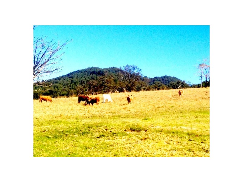 Monkerai NSW 2415