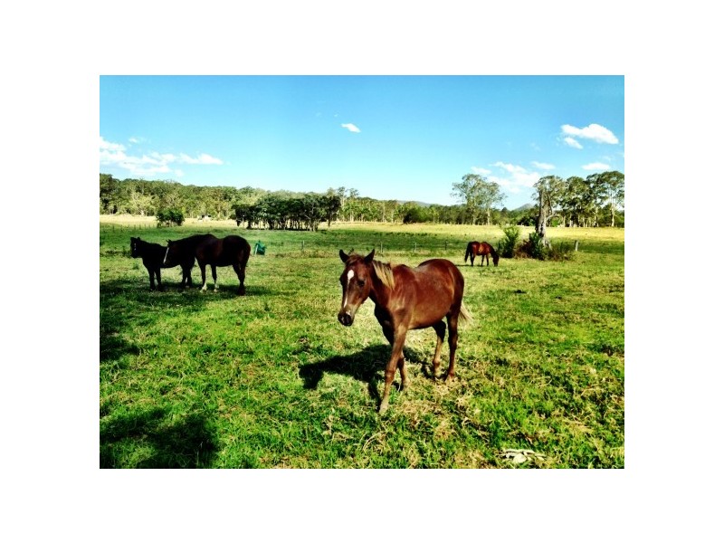 Lot 31 Bucketts Way, Booral NSW 2425