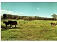 Lot 31 Bucketts Way, Booral NSW 2425