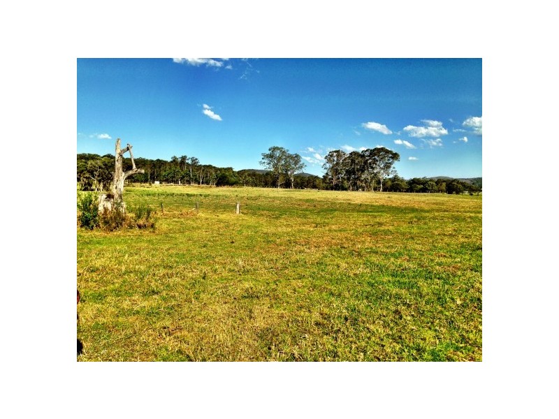 Lot 31 Bucketts Way, Booral NSW 2425