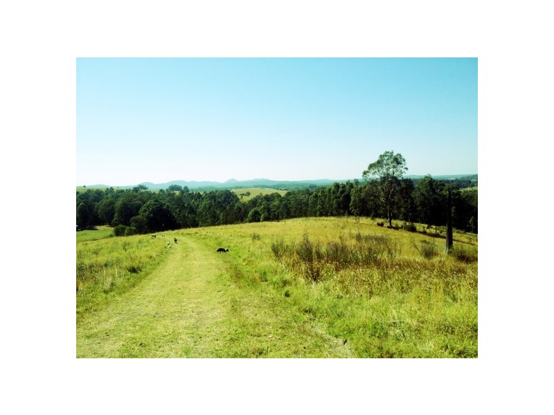 Girvan NSW 2425