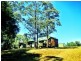 Girvan NSW 2425