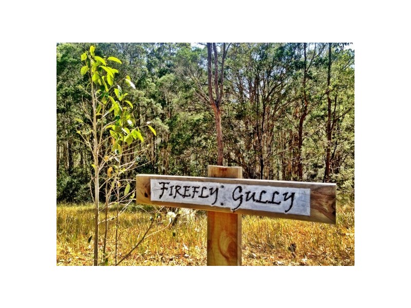 Girvan NSW 2425