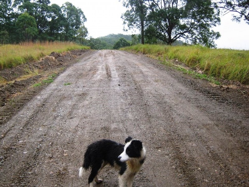 Girvan NSW 2425