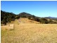 Girvan NSW 2425