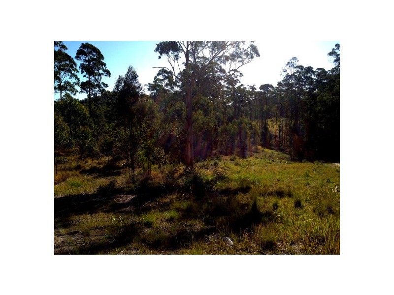 Girvan NSW 2425