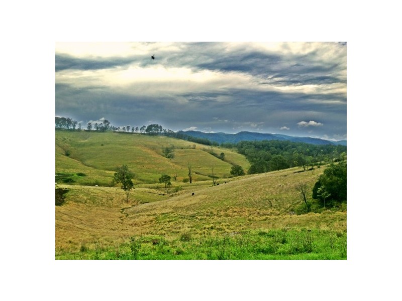 Stroud NSW 2425