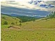 Stroud NSW 2425
