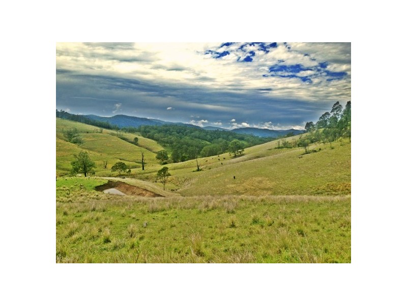 Stroud NSW 2425