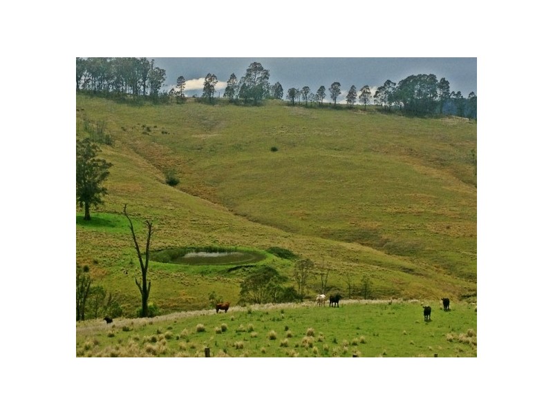 Stroud NSW 2425