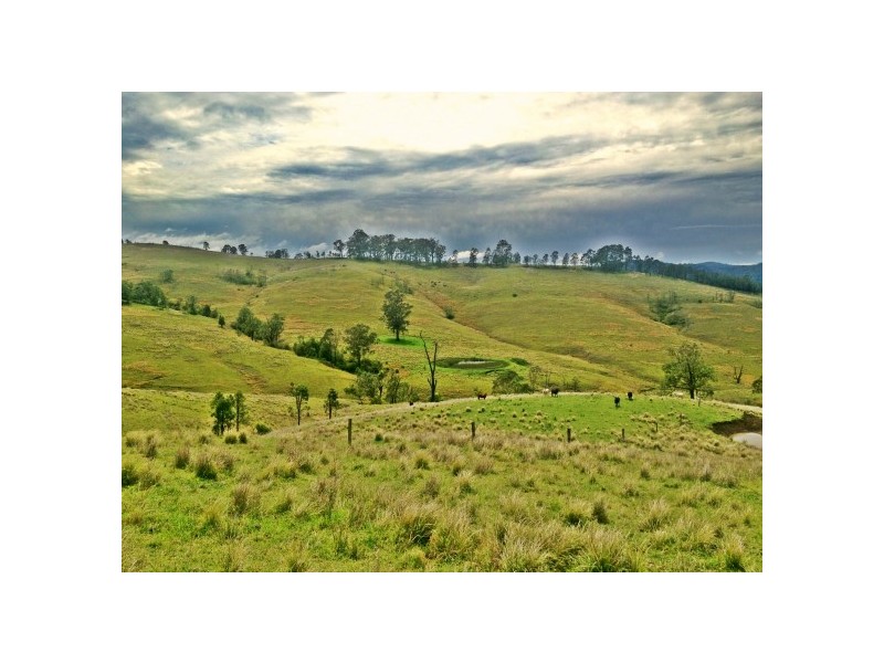 Stroud NSW 2425