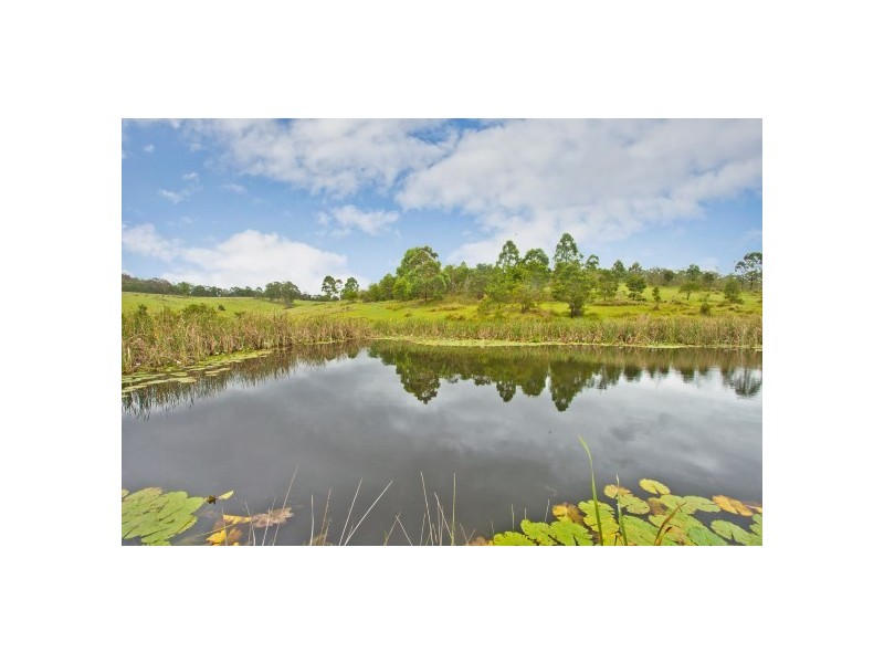 29 Washpool Rd, Booral NSW 2425