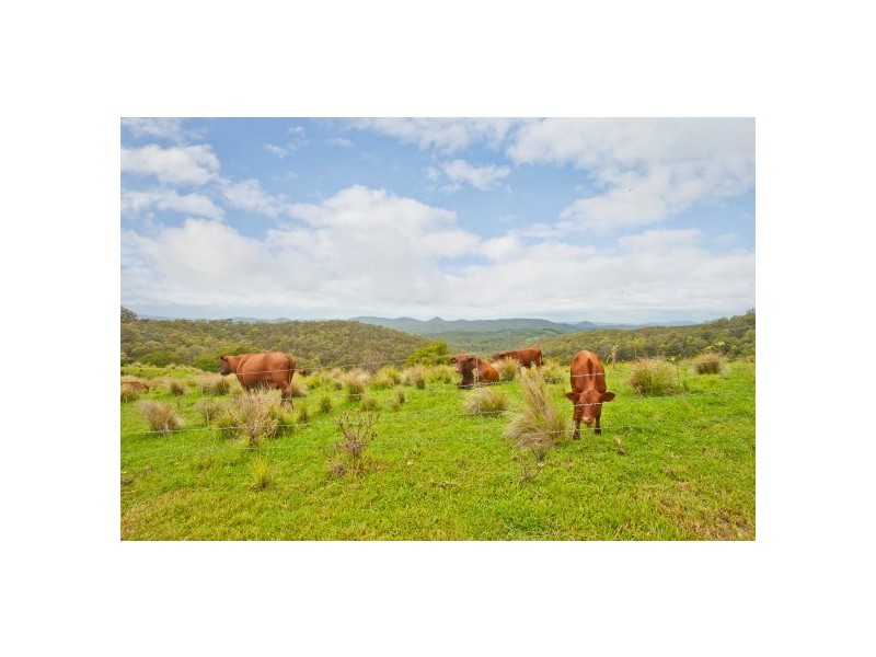 29 Washpool Rd, Booral NSW 2425