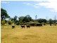 Stroud NSW 2425
