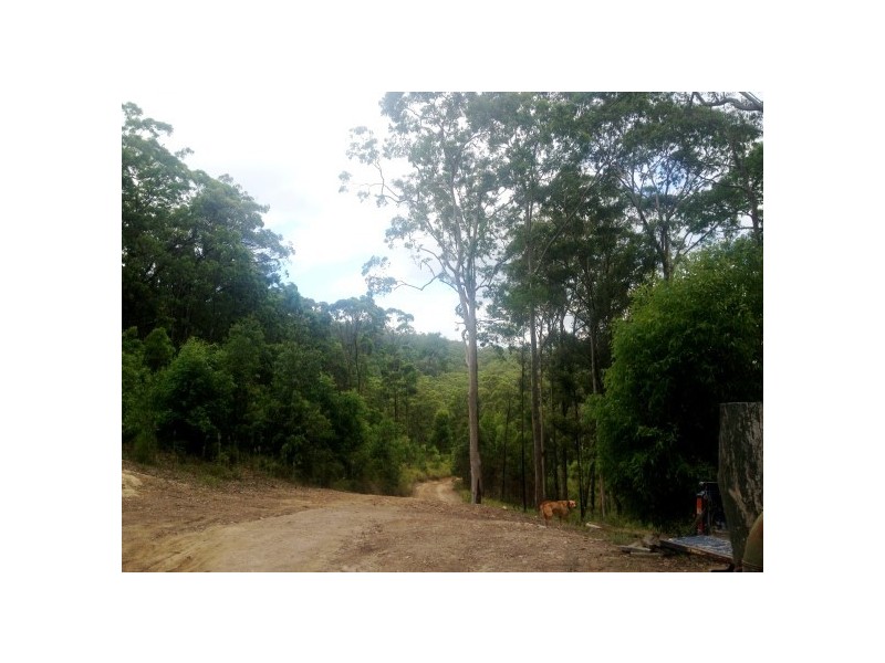 330 Bluegum Rd, Booral NSW 2425