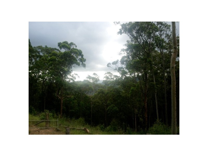 330 Bluegum Rd, Booral NSW 2425