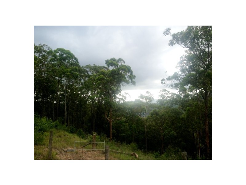 330 Bluegum Rd, Booral NSW 2425