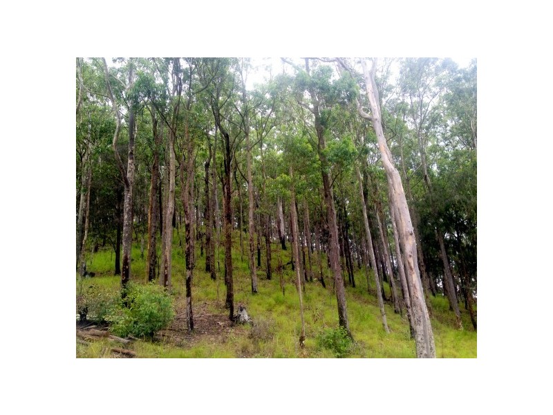 330 Bluegum Rd, Booral NSW 2425