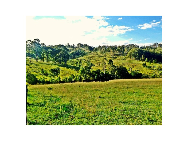 Wards River NSW 2422