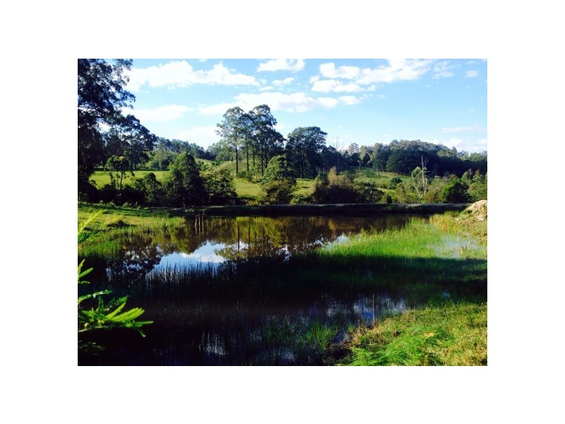 Wards River NSW 2422