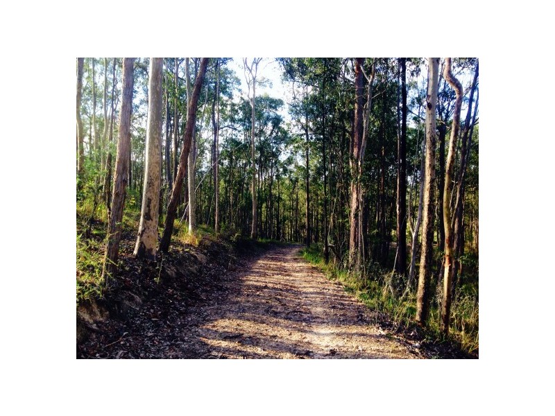 Wards River NSW 2422