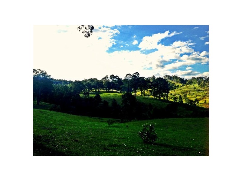 Wards River NSW 2422