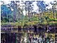 Lot 73 Washpool Creek Rd, Booral NSW 2425