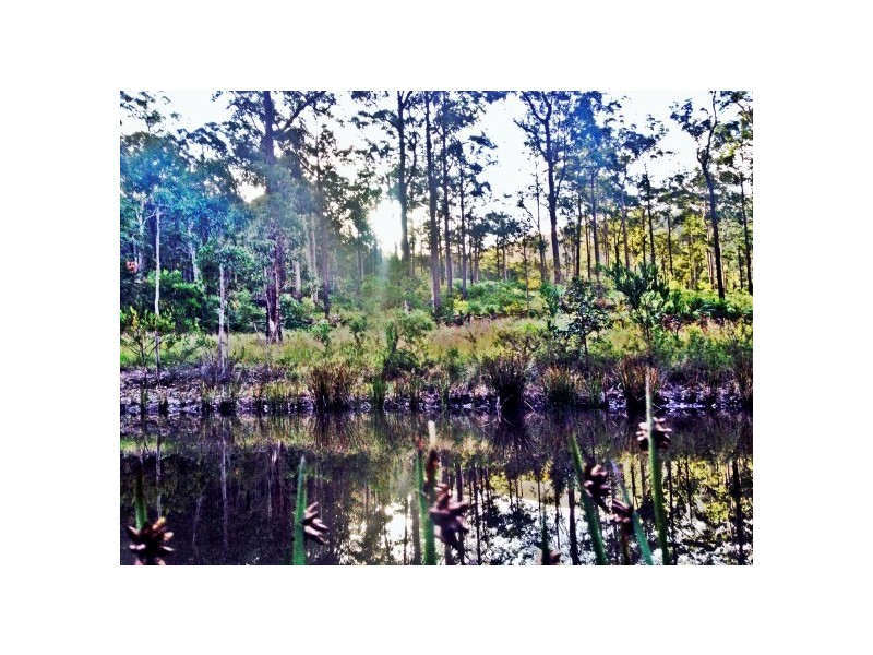 Lot 72 Washpool Creek Rd, Booral NSW 2425