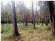 1 Minto St, The Branch NSW 2425