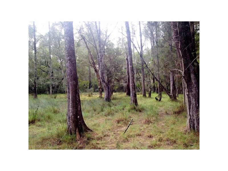 1 Minto St, The Branch NSW 2425