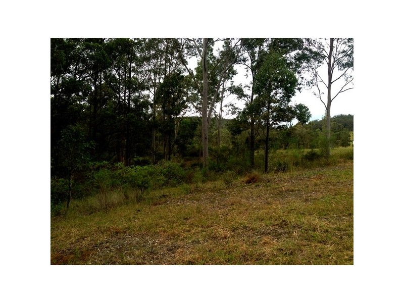 1 Minto St, The Branch NSW 2425